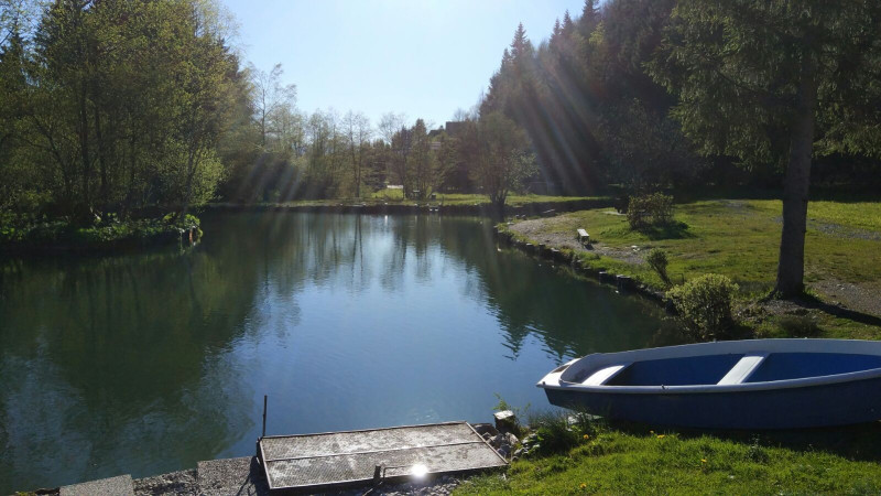 IMG-20170519-WA0001